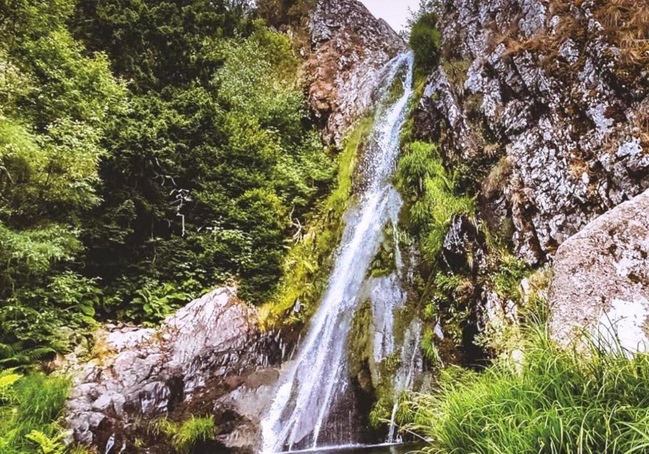 Vale Do Zezere Hotel มันเตย์กัส ภายนอก รูปภาพ